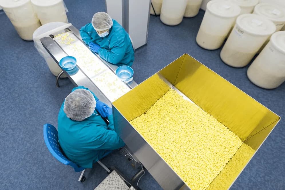 Workers in hairnets and coveralls sorting softgels on a stainless production line.