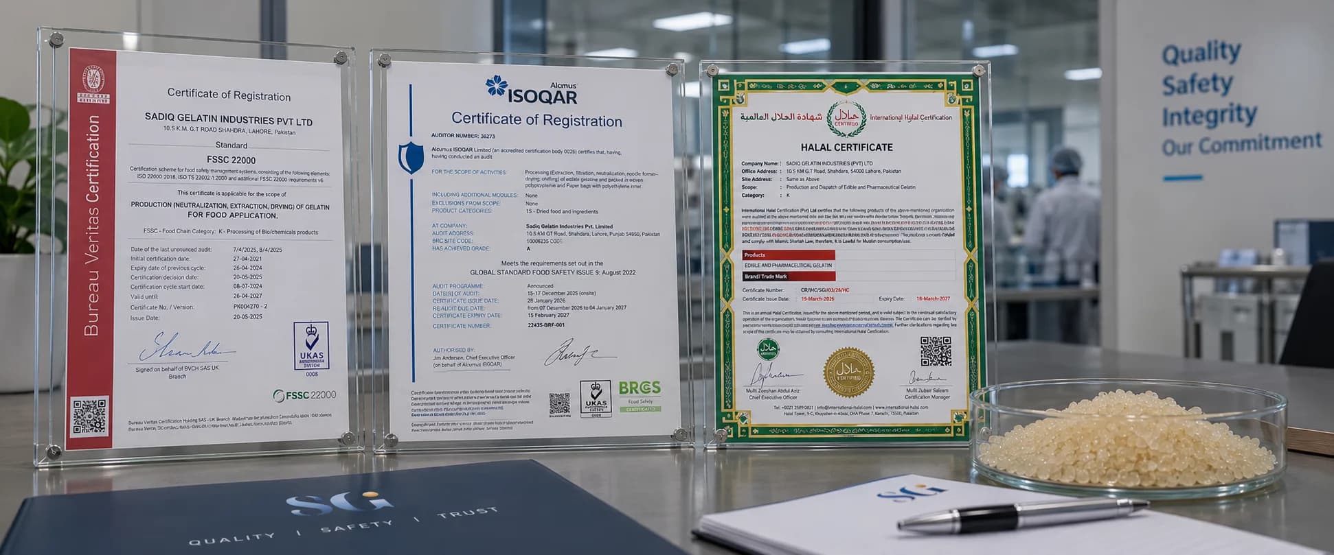 Sadiq Gelatin's FSSC 22000, BRCGS and Halal certificates in acrylic frames on a laboratory bench, beside a dish of gelatin granules.