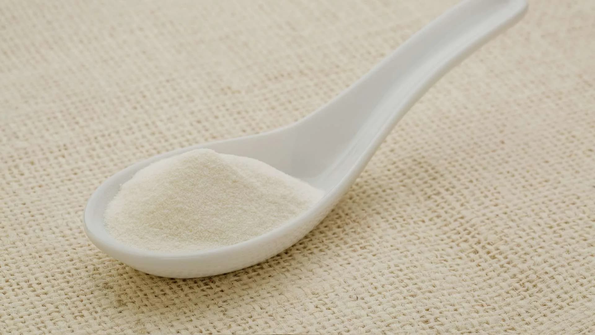 A porcelain spoon of fine gelatin powder resting on hessian.