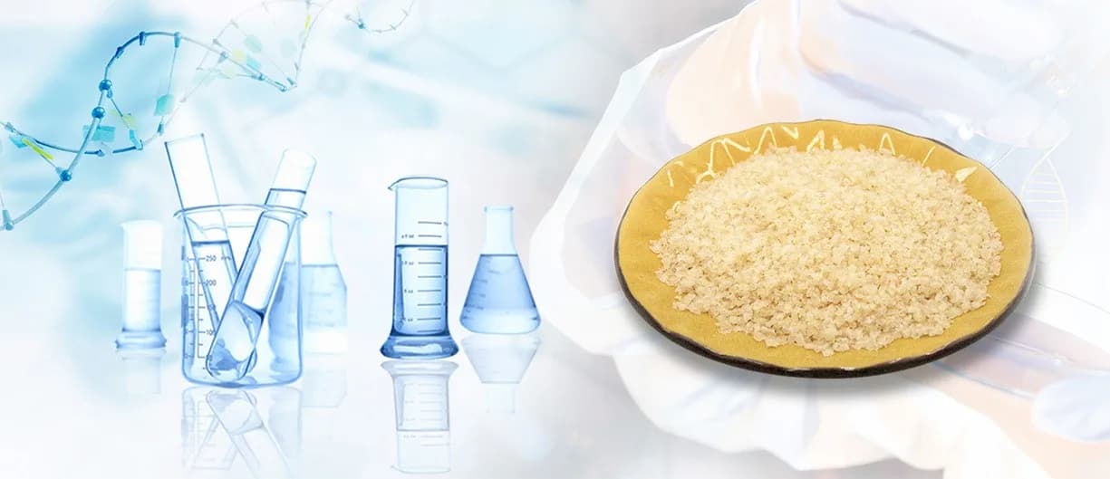 A gloved hand holding a dish of gelatin granules beside laboratory glassware.