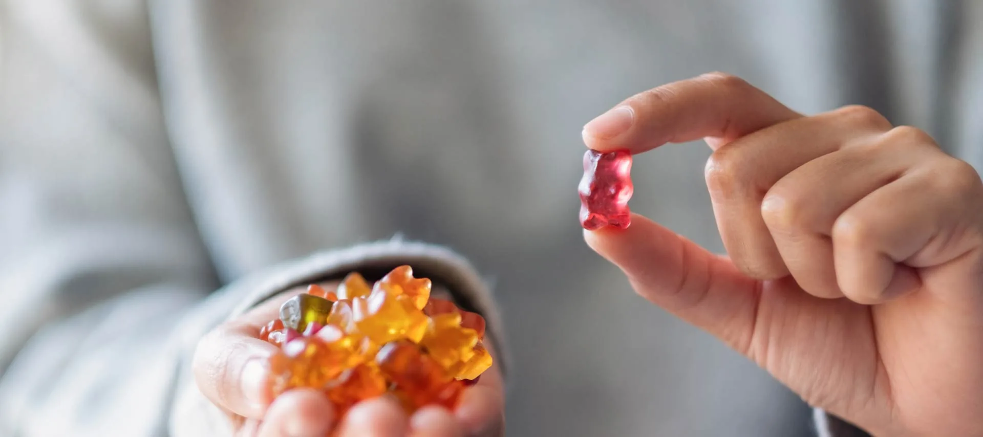 A hand holding up a single red gummy bear above a palmful of gummies.