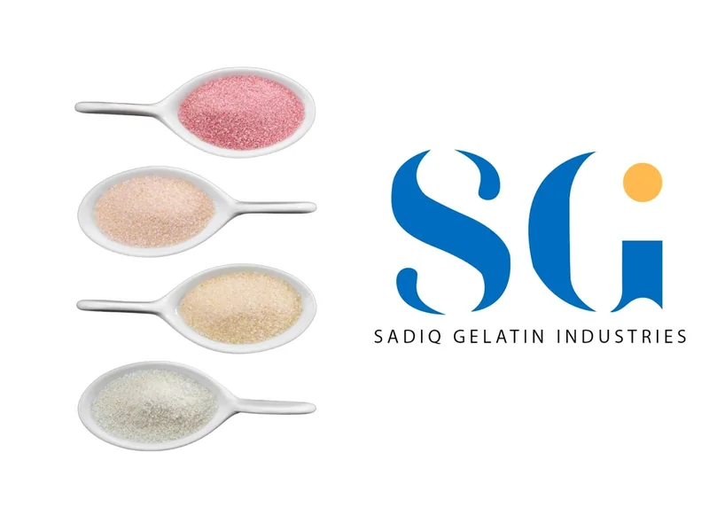 Four spoons of gelatin in different grades and colours beside the Sadiq Gelatin Industries logo.
